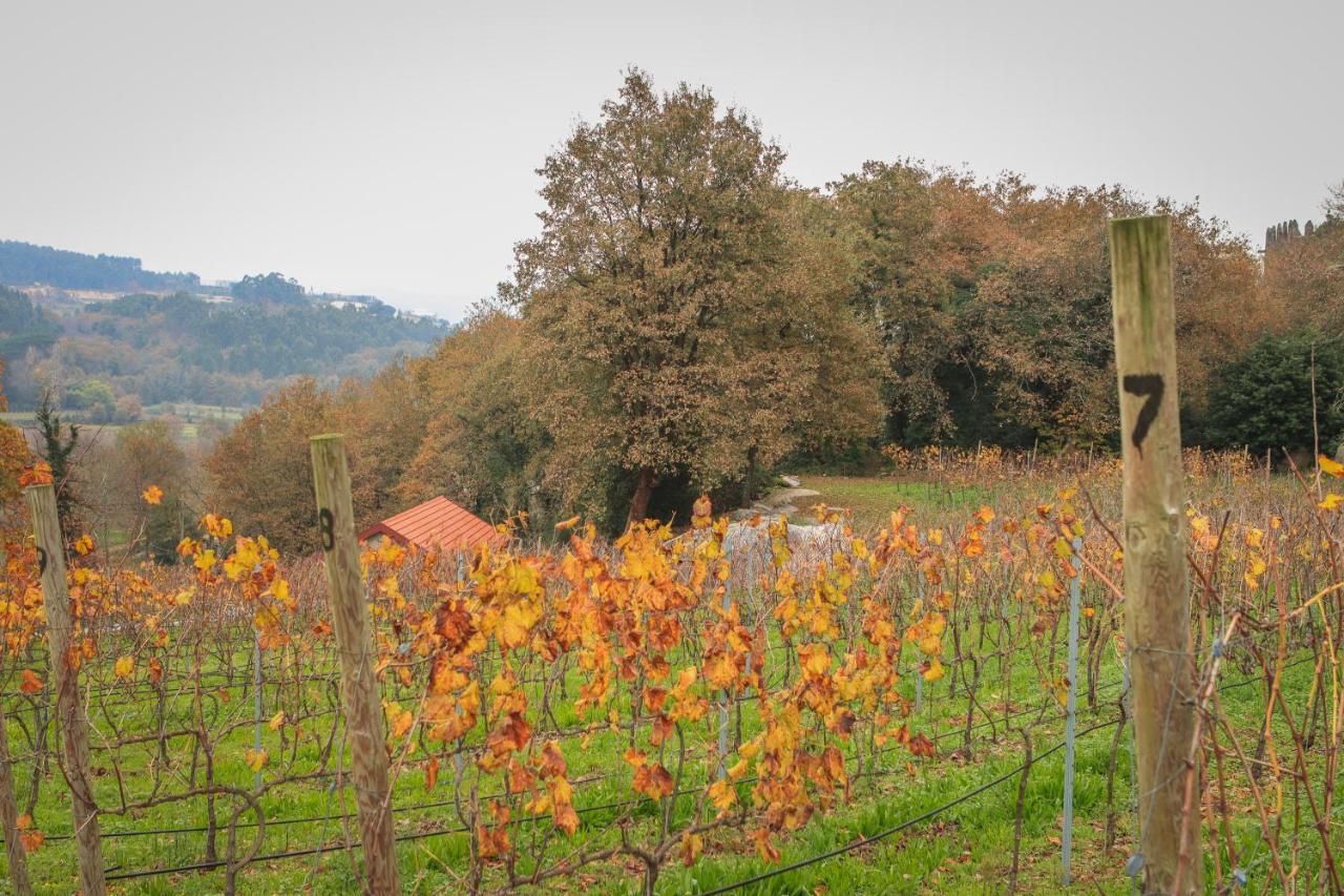 Quinta Pousada De Fora Wines & Tourism Гімарайнш Екстер'єр фото
