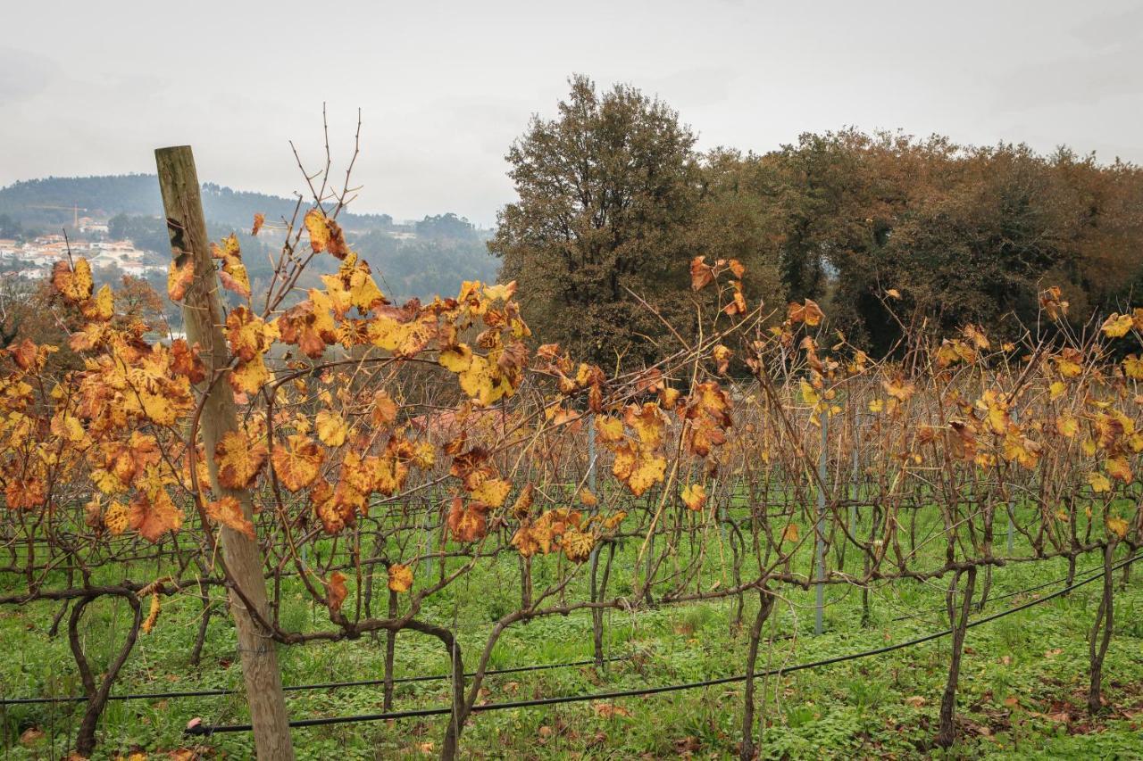 Quinta Pousada De Fora Wines & Tourism Гімарайнш Екстер'єр фото