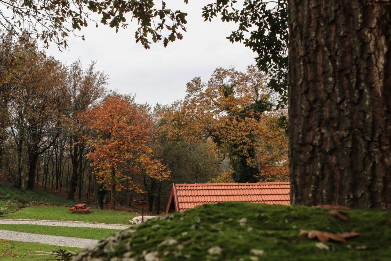 Quinta Pousada De Fora Wines & Tourism Гімарайнш Екстер'єр фото