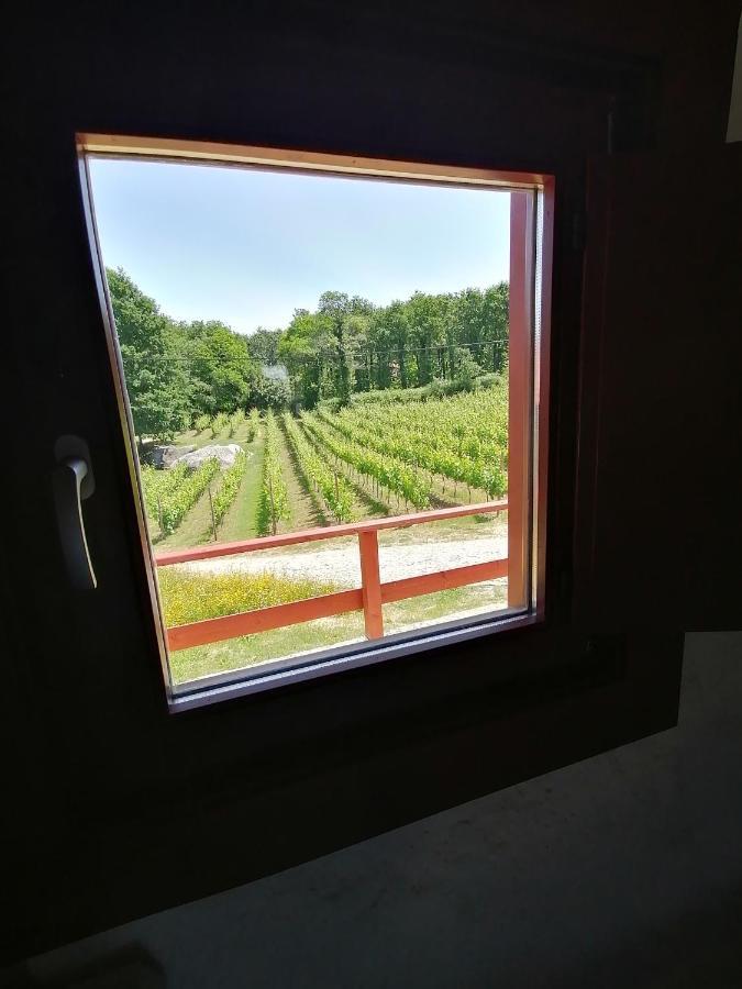 Quinta Pousada De Fora Wines & Tourism Гімарайнш Екстер'єр фото