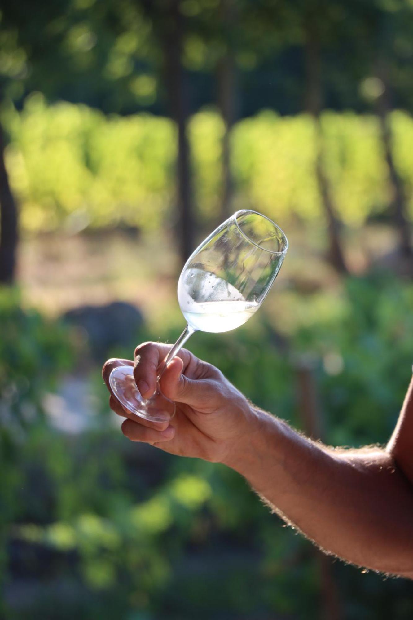 Quinta Pousada De Fora Wines & Tourism Гімарайнш Екстер'єр фото